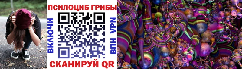 Псилоцибиновые грибы ЛСД кракен онион Шебекино